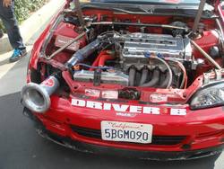 DSC03906.jpg DSC03906.jpg