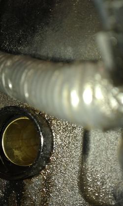 IMAG0122.jpg IMAG0122.jpg