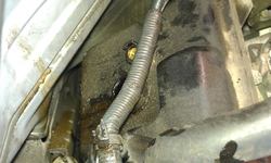 IMAG0121.jpg IMAG0121.jpg