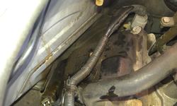 IMAG0120.jpg IMAG0120.jpg