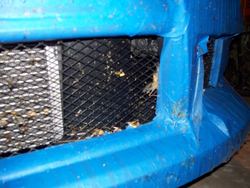100_0221.jpg