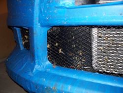 100_0223.jpg