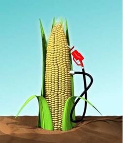 corn-ethanol-pump_100173153_s.jpg corn-ethanol-pump_100173153_s.jpg