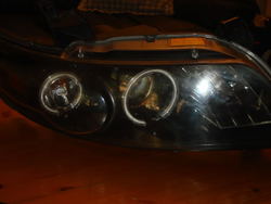 DSC03944.jpg