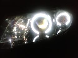 IMG00194.jpg