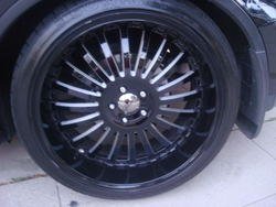 DSC00805.jpg