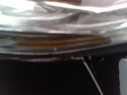 IMG00233.jpg