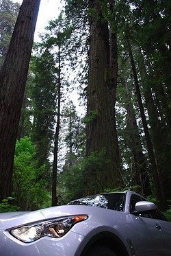 DSC_4994.JPG