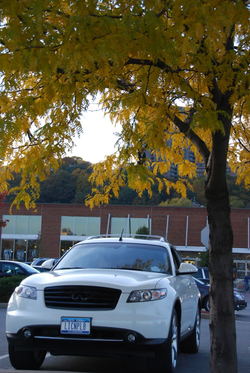 DSC_0499.jpg