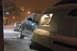 DSC_1584.jpg