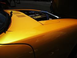 IMG_1630.jpg
