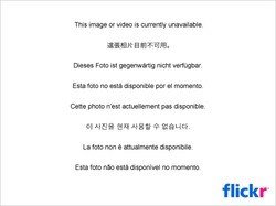 3627422102_873b514ee5_b.jpg