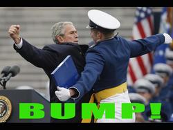 bushbump.jpg