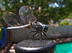 DSCN3322.jpg