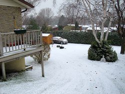 IMG_2010_1.jpg
