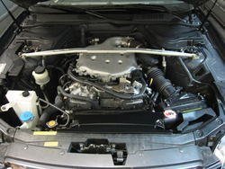 IMG_1584.jpg