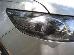 IMG_1249.jpg
