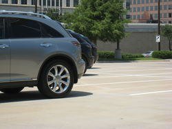 IMG_1695.jpg