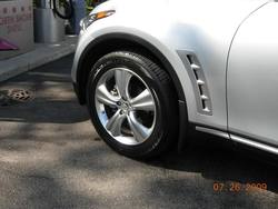 Infiniti2009012.jpg