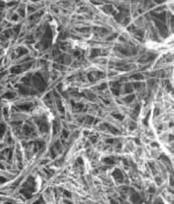 fiber4.jpg