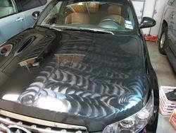 IMG_1755.jpg
