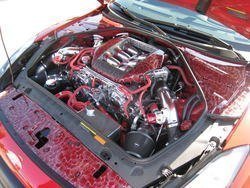 IMG_1782.jpg