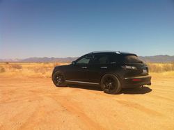 a53003bf.jpg