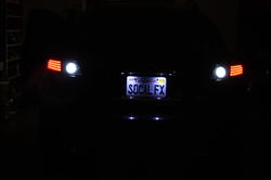IMG_3358.jpg