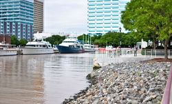 edit_fx35_9_10_syard6.jpg