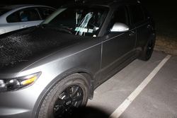icecreamvandalism12110.jpg