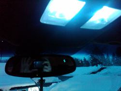 IMG01088-20110201-1733.jpg