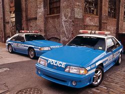 0408mm_big_25_z.jpg