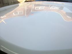 fxhood3.jpg fxhood3.jpg