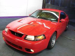 redstang1.jpg redstang1.jpg
