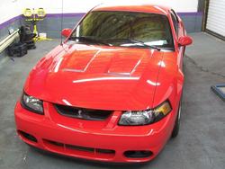 redstang3.jpg