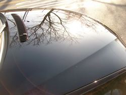 39sunshot3.jpg 39sunshot3.jpg