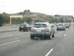 8523img_2795.jpg