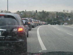 8523img_2794.jpg