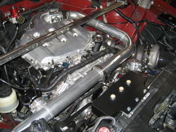 IMG_2881.jpg