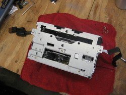 IMG_9288.jpg