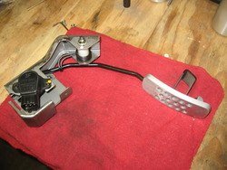 IMG_9286.jpg