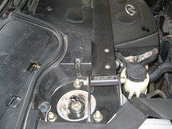 IMG_9303.jpg