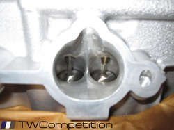 twc_cos_02.jpg