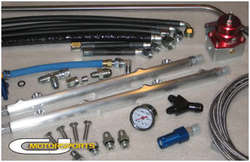 catdes2pic4.jpg