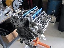 IMG_0838.jpg