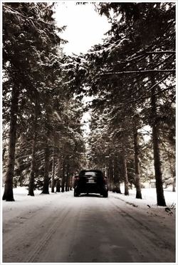 1613186a.jpg 1613186a.jpg