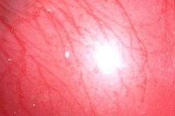 IMG_2286.jpg IMG_2286.jpg