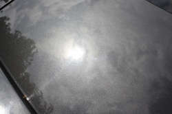 IMG_2563.jpg IMG_2563.jpg