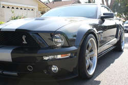 IMG_2565.jpg IMG_2565.jpg