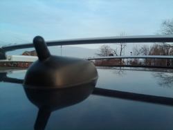 IMG01205-20110317-1905.jpg IMG01205-20110317-1905.jpg